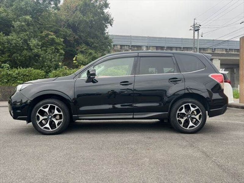 FORESTER