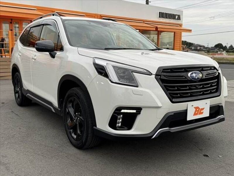 FORESTER