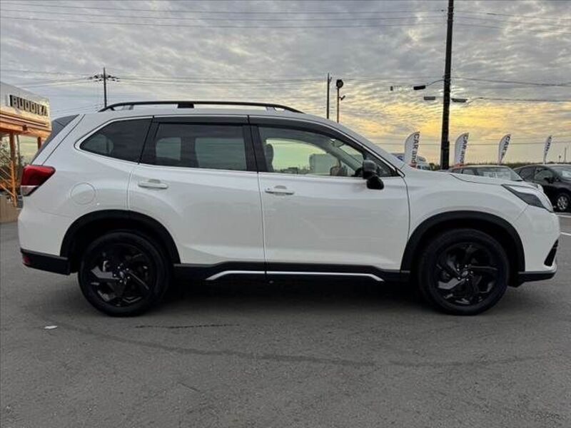 FORESTER