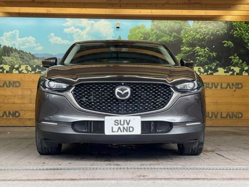 CX-30
