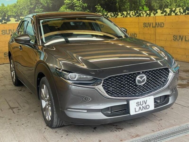 CX-30