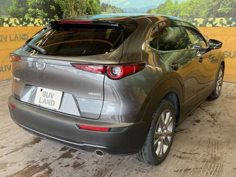 CX-30