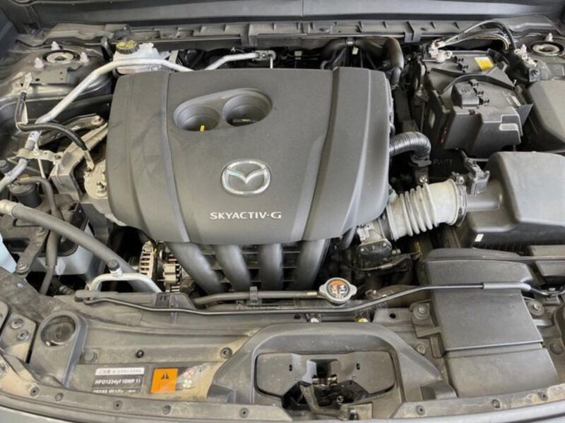 CX-30