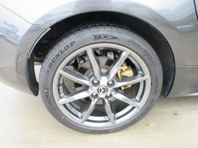 ROADSTER RF