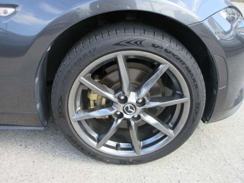 ROADSTER RF