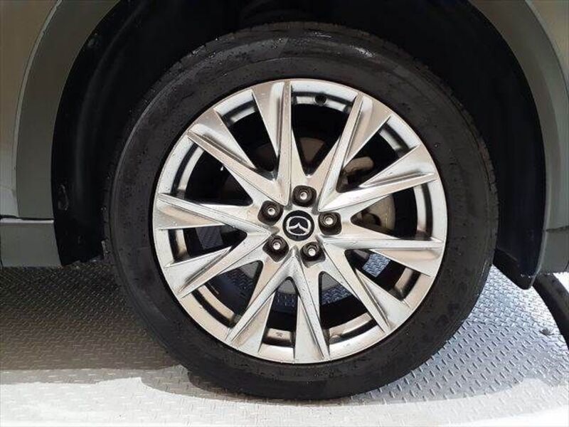 CX-8