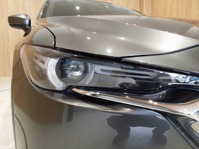 CX-8