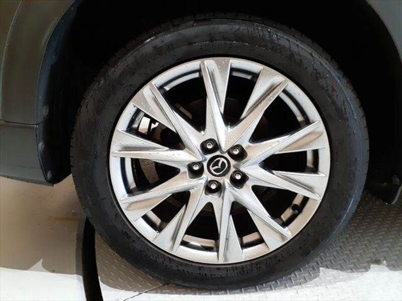 CX-8