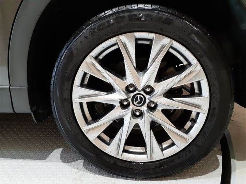 CX-8