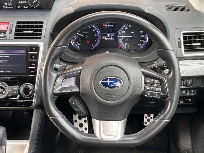 LEVORG