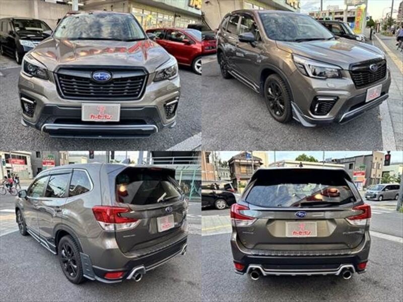 FORESTER