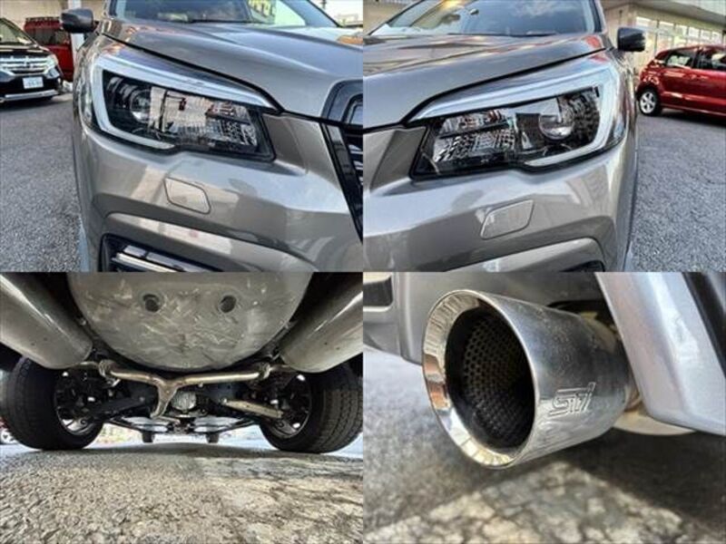 FORESTER