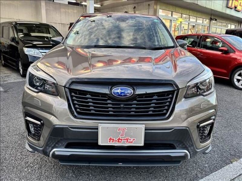 FORESTER