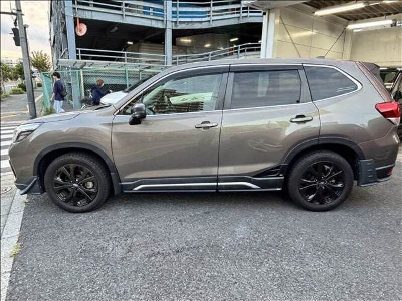 FORESTER