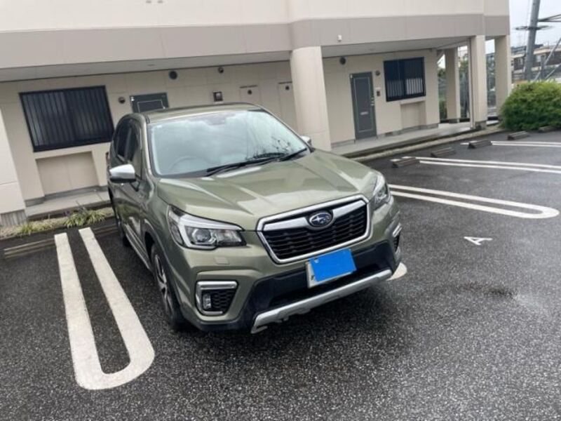 FORESTER