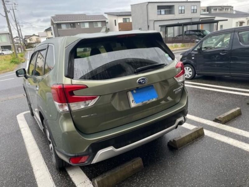 FORESTER