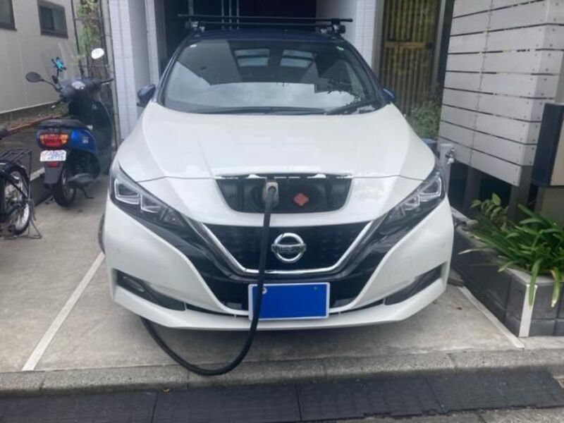 LEAF-0
