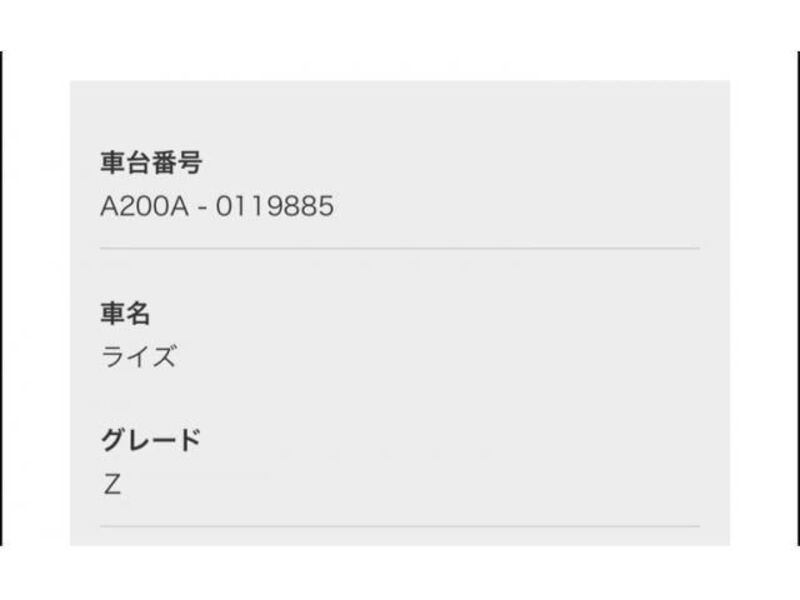 RAIZE-0