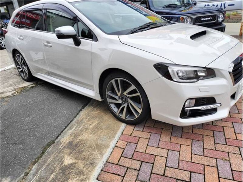 LEVORG