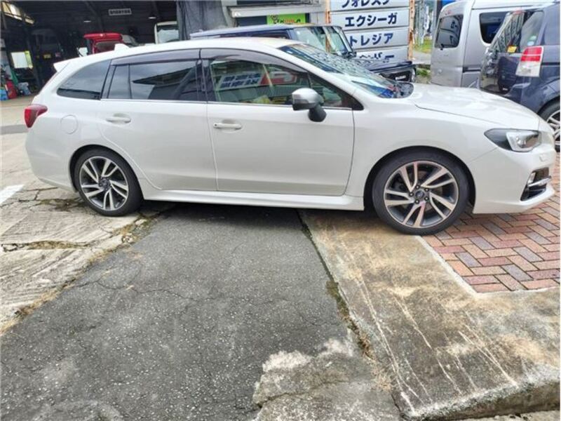 LEVORG