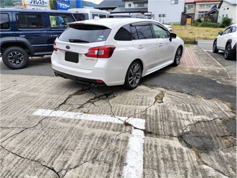 LEVORG