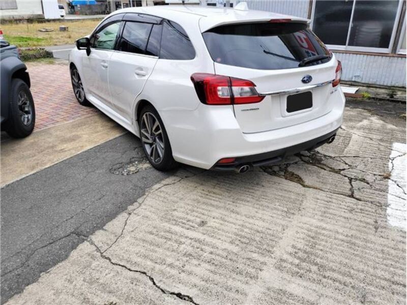 LEVORG