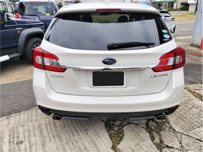 LEVORG