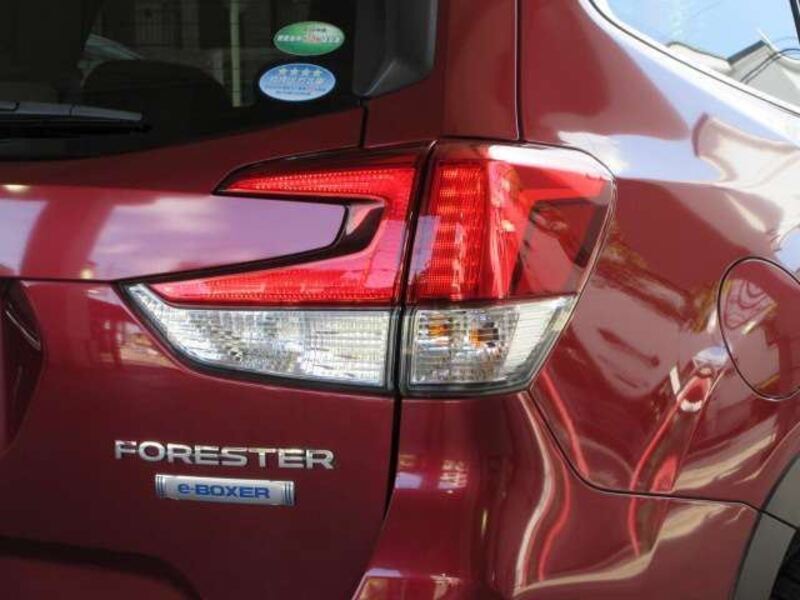 FORESTER