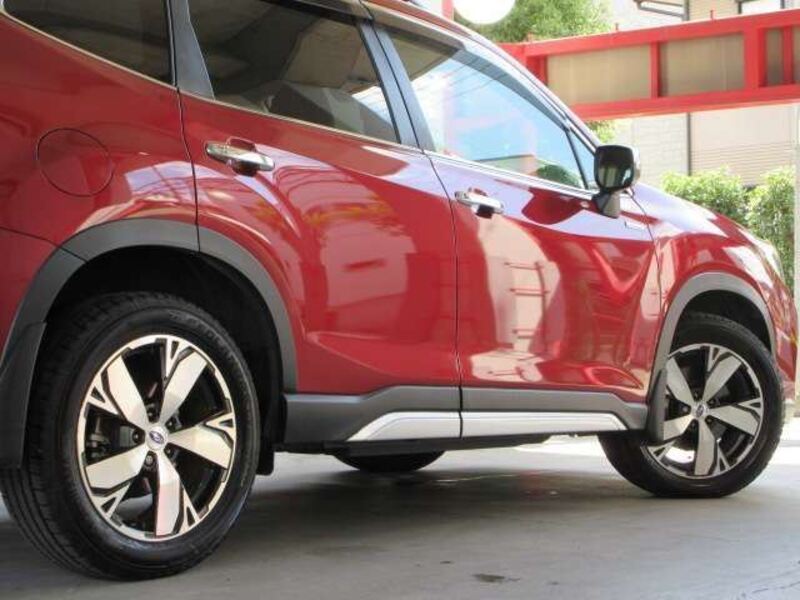 FORESTER