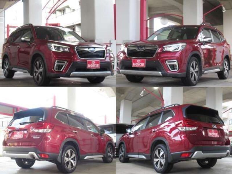 FORESTER