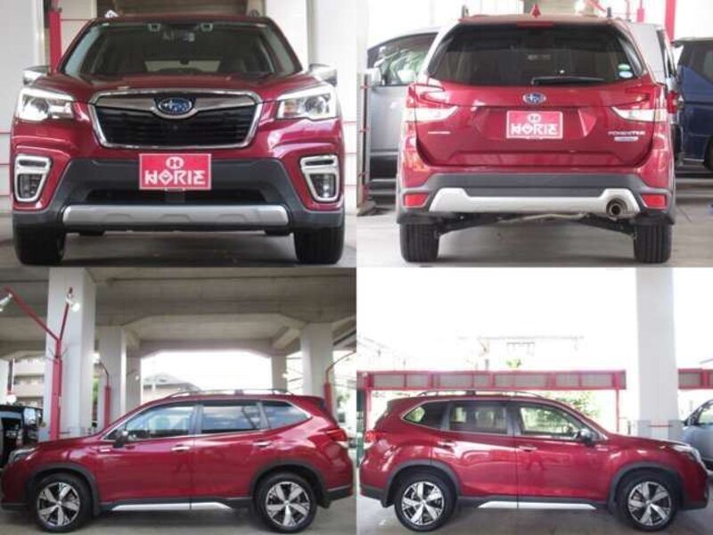 FORESTER
