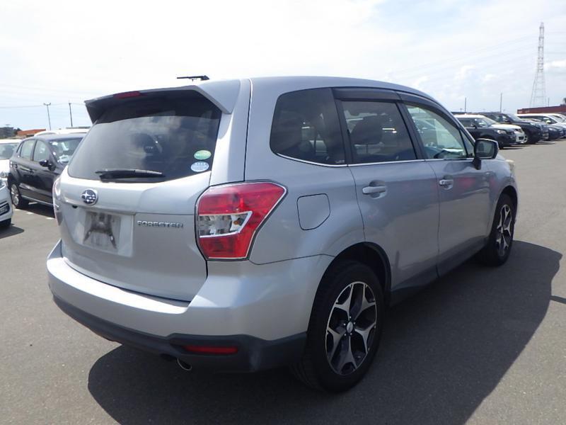 FORESTER
