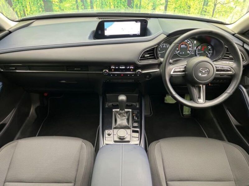 CX-30