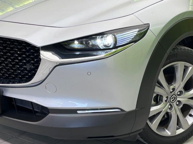 CX-30
