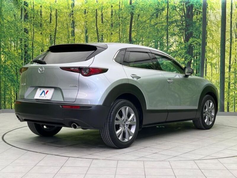 CX-30