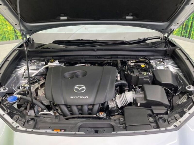 CX-30