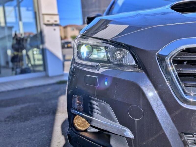 LEVORG