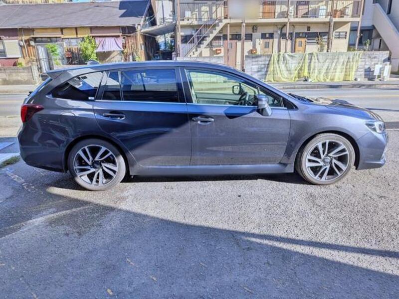 LEVORG