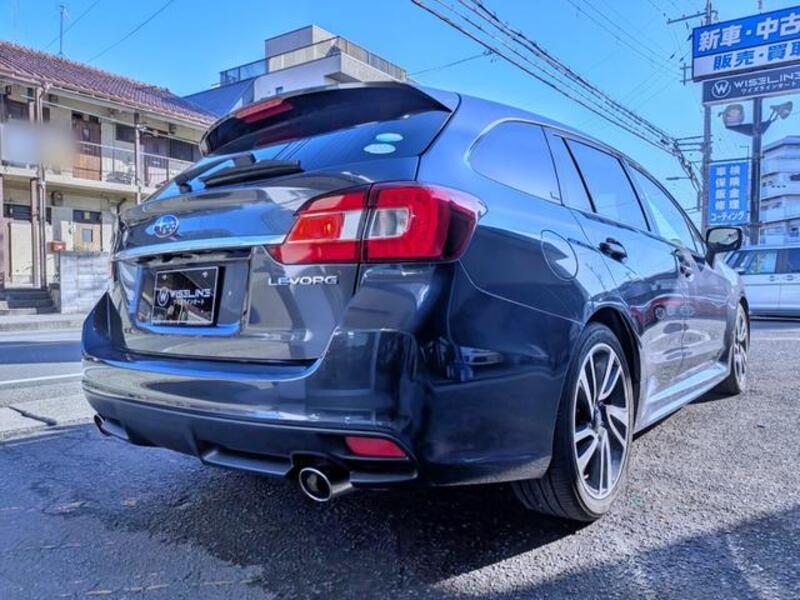 LEVORG