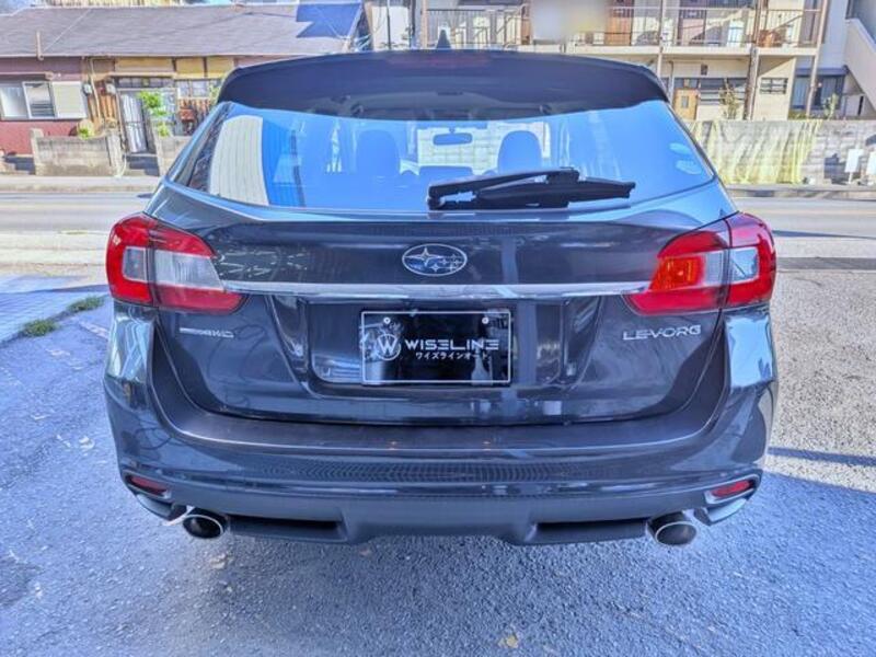 LEVORG