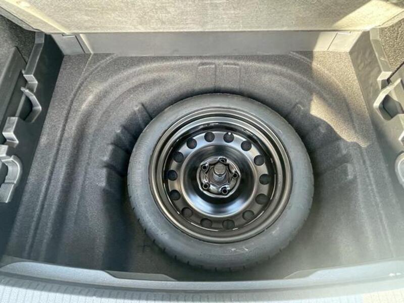 GOLF VARIANT