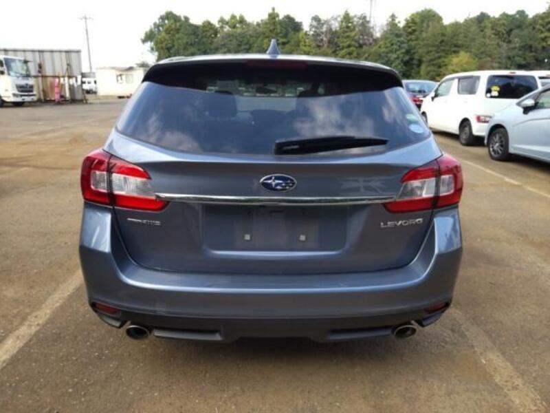 LEVORG