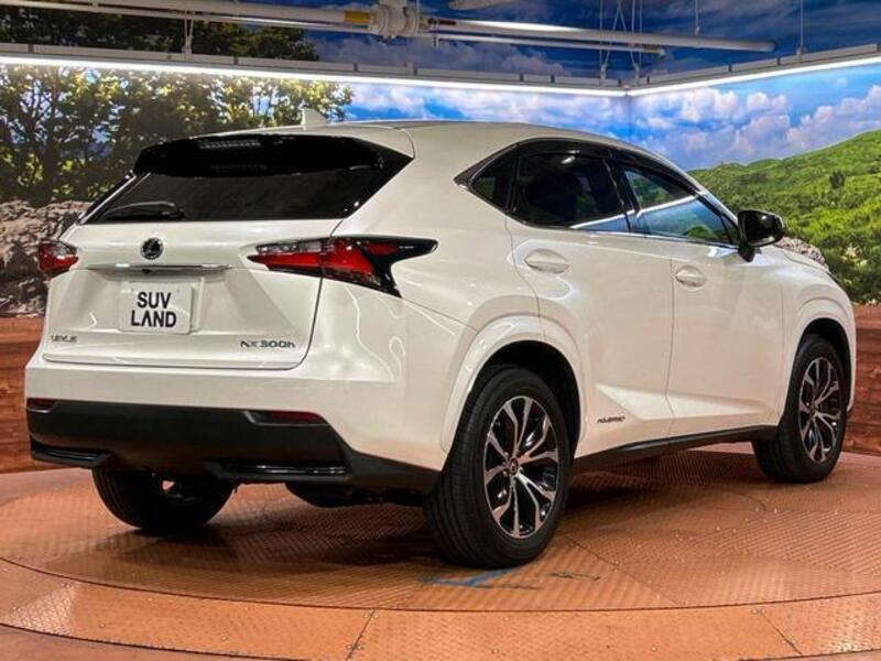 NX