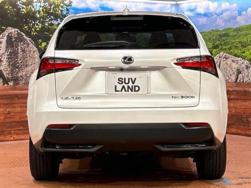 NX