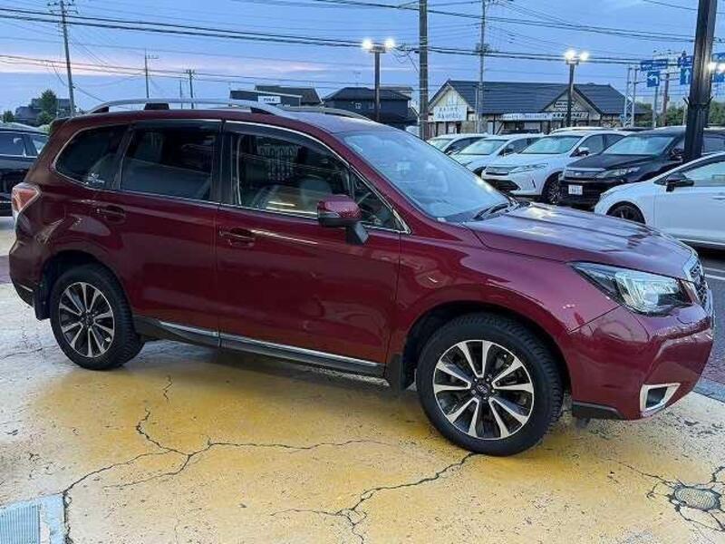 FORESTER