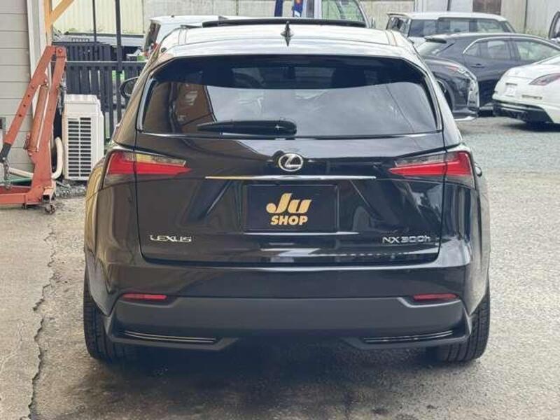 NX