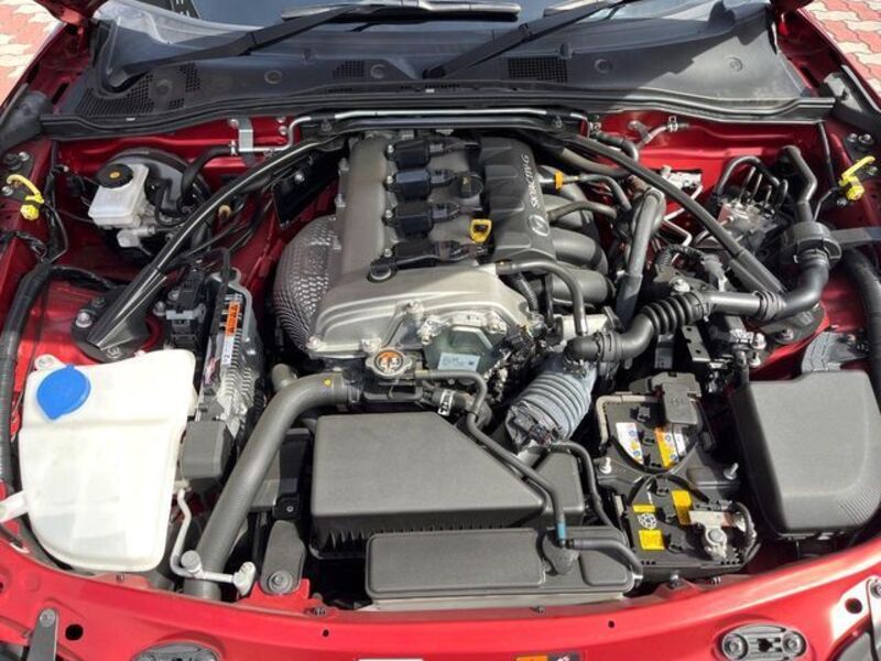 ROADSTER RF