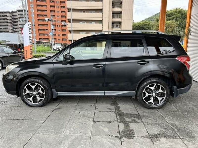 FORESTER