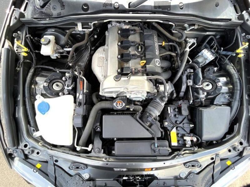 ROADSTER RF