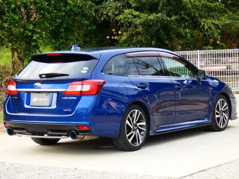 LEVORG